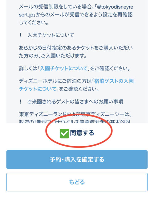 ディズニーチケット ⚠️6/1まで取り置き⚠️